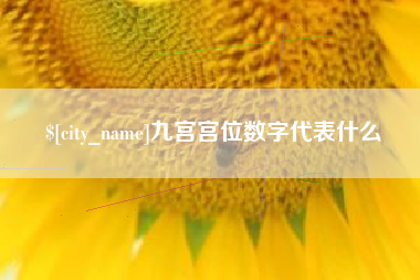 辽源九宫宫位数字代表什么