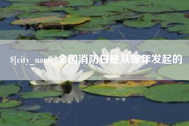 辽源全国消防日是从哪年发起的