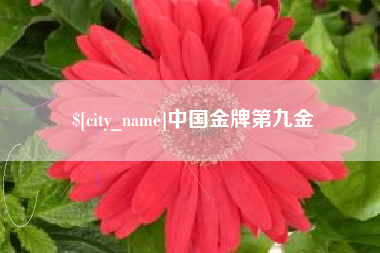 辽源中国金牌第九金