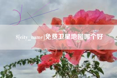 辽源免费卫星地图哪个好