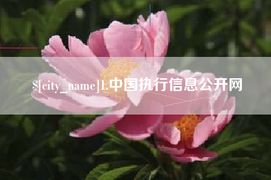 辽源1.中国执行信息公开网