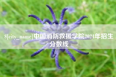 辽源中国消防救援学院2024年招生分数线