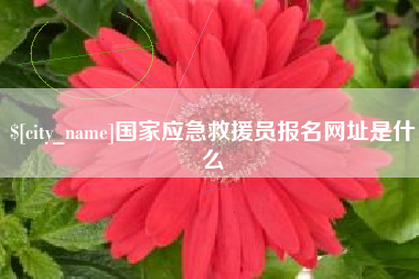辽源国家应急救援员报名网址是什么