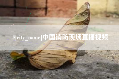 辽源中国消防现场直播视频