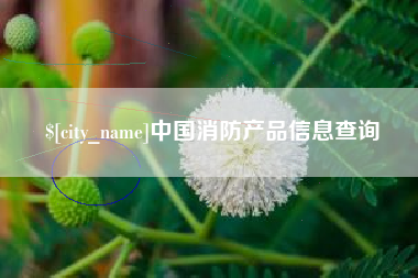 辽源中国消防产品信息查询