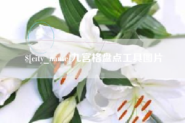 辽源九宫格盘点工具图片