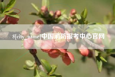 辽源中国消防报考中心官网