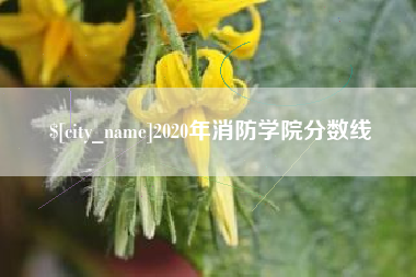辽源2020年消防学院分数线