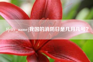 辽源我国的消防日是几月几号？
