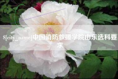 辽源中国消防救援学院山东选科要求