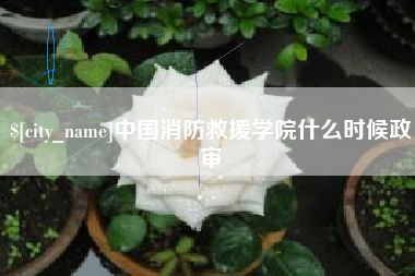 辽源中国消防救援学院什么时候政审