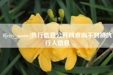 辽源执行信息公开网查询不到被执行人信息