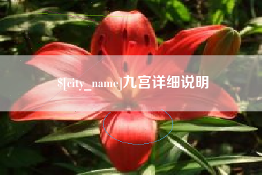 辽源九宫详细说明
