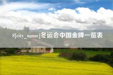 辽源冬运会中国金牌一览表