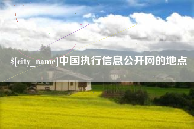 辽源中国执行信息公开网的地点