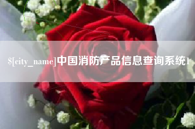 辽源中国消防产品信息查询系统1