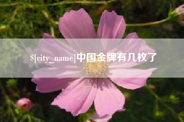 辽源中国金牌有几枚了
