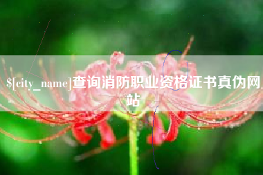 辽源查询消防职业资格证书真伪网站