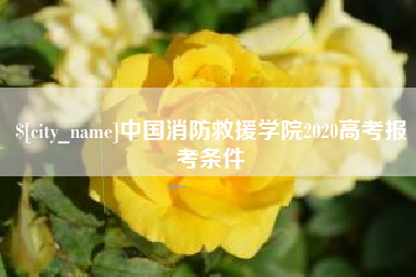 辽源中国消防救援学院2020高考报考条件