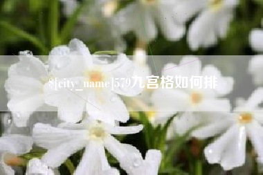 辽源579九宫格如何排