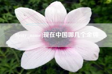 辽源现在中国哪几个金牌
