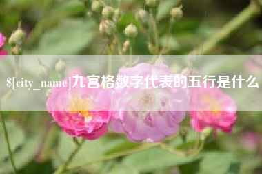 辽源九宫格数字代表的五行是什么