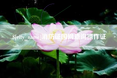 辽源消防证国网查询操作证