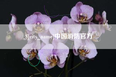 辽源中国消防官方