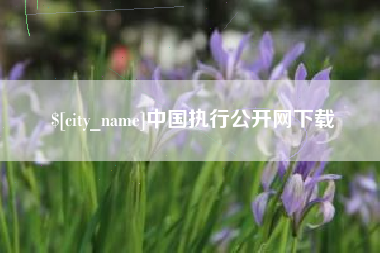 辽源中国执行公开网下载