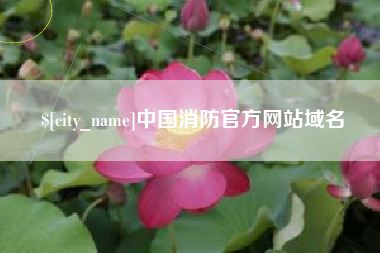 辽源中国消防官方网站域名