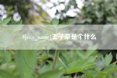 辽源王子豪是个什么