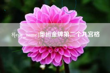 辽源奥运金牌第二个九宫格