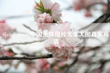 辽源中国金牌图片大全大图真实高清