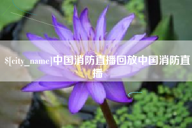 辽源中国消防直播回放中国消防直播