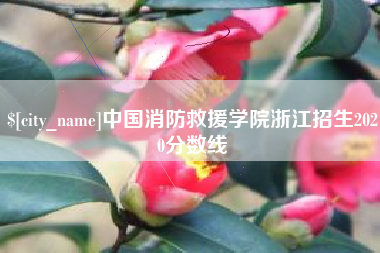 辽源中国消防救援学院浙江招生2020分数线