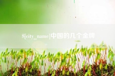 辽源中国的几个金牌