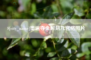 辽源奥运夺金时刻九宫格图片