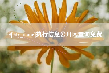 辽源执行信息公开网查询免费