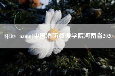 辽源中国消防救援学院河南省2020